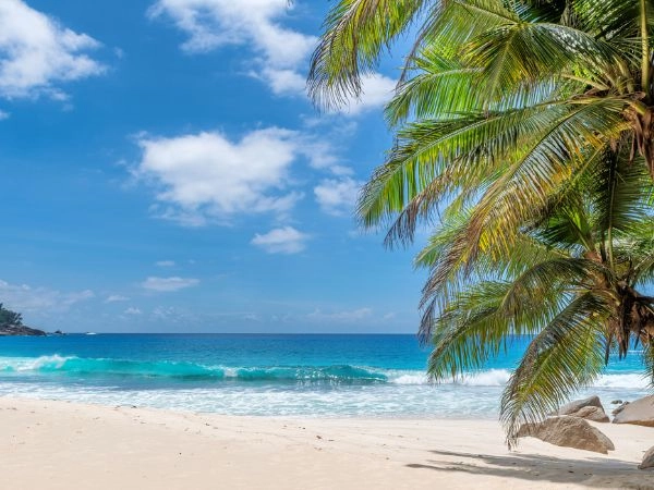 Barbados offre un'esperienza romantica che combina tradizione e modernità