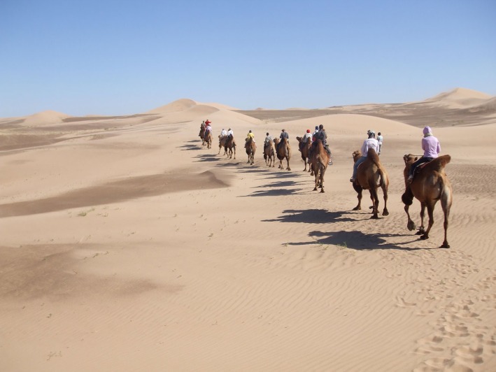 Deserto del Gobi su cammello