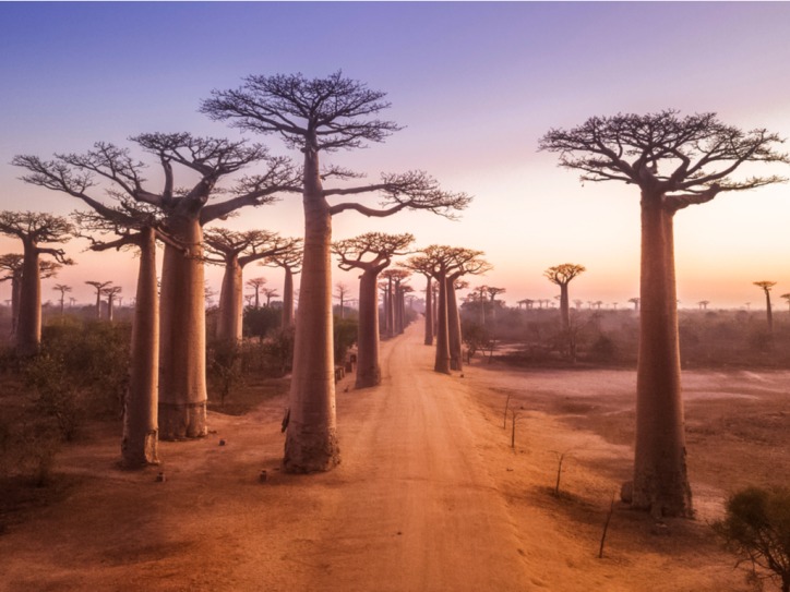 madagascar cose da vedere