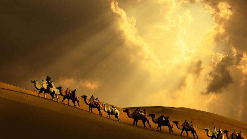 organizzare un viaggio in mongolia