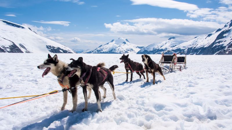 tour in alaska