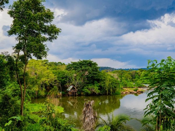 Scoprire Entebbe e la sua natura sulle rive del Lago Vittoria