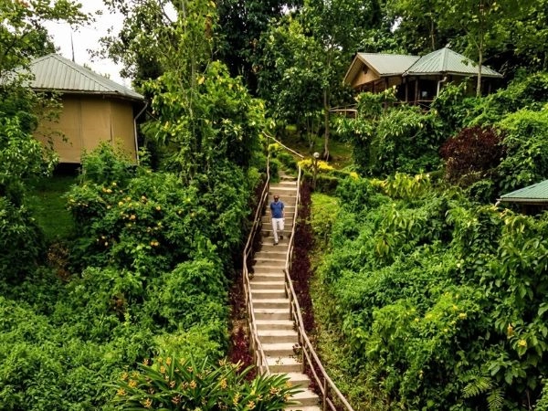 Soggiornare al Gorilla Safari Lodge in Uganda