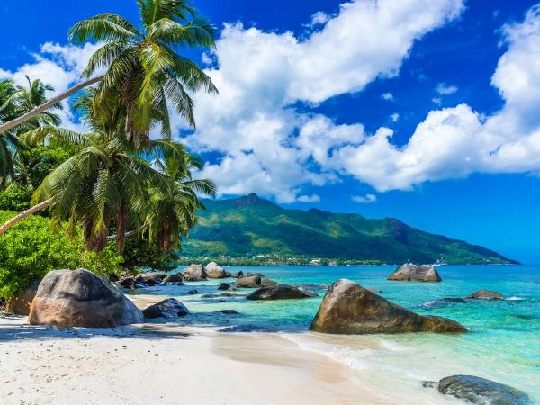 Seychelles, un vero gioiello nel cuore dell'Oceano Indiano