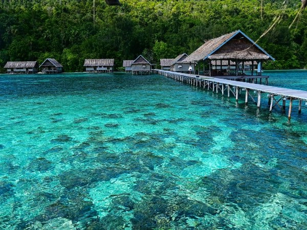 Vivere la West Papua e la sua natura incontaminata