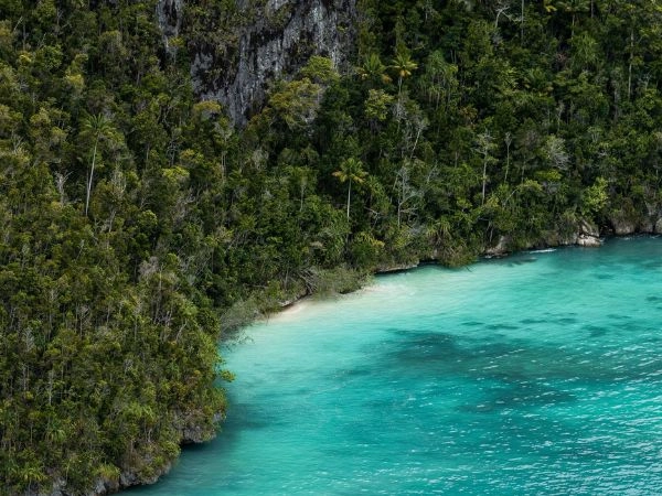 Wayag, pinnacoli di roccia coperti di vegetazione tropicale, s’innalzano bruscamente dalla superficie del mare