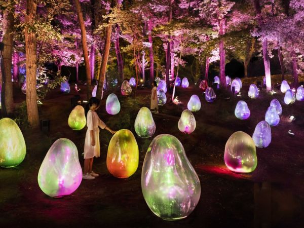 teamLab Botanical Garden Osaka