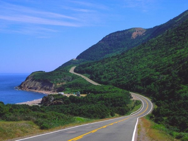 Percorri il Cabot Trail tra escursioni, panorami costieri, foreste e villaggi caratteristici.