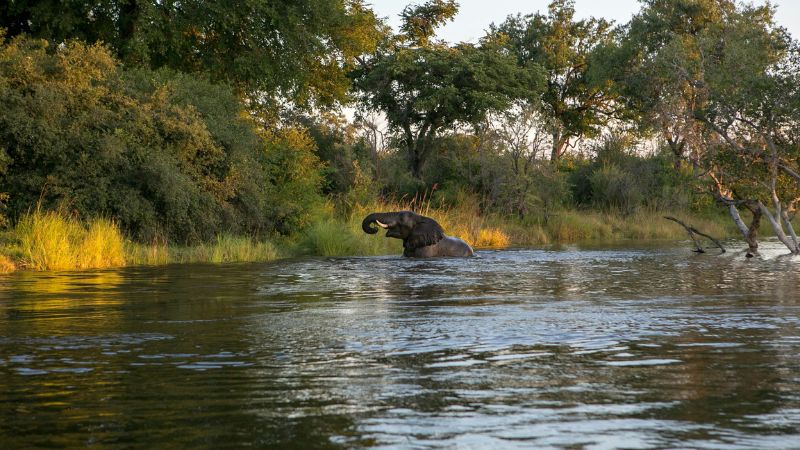 Viaggio di gruppo in Zambia con Guida Italiana