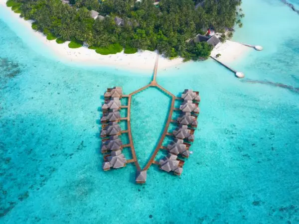 Maldive