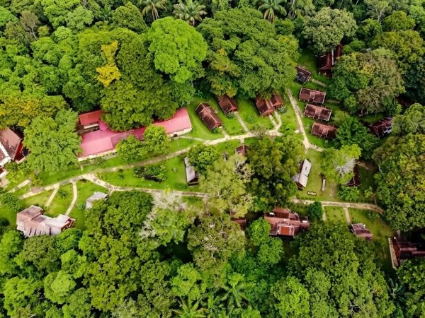 Il Parco Nazionale di Taman Negara offre tante avventure