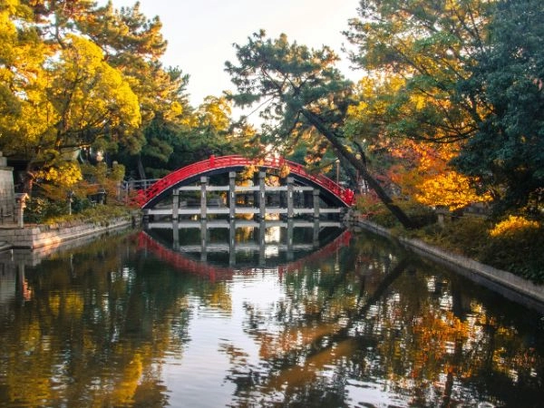 Ammirare il foliage giapponese per l’atmosfera di pace e tranquillità che emanano