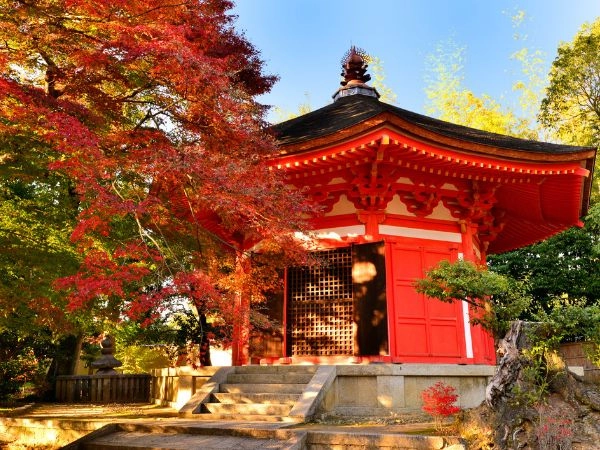 Scegliere il Giappone per il foliage autunnale