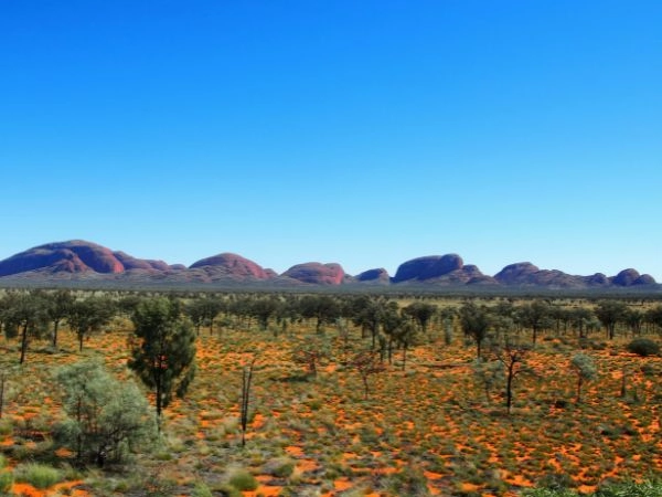 ammirare Kata Tjuta