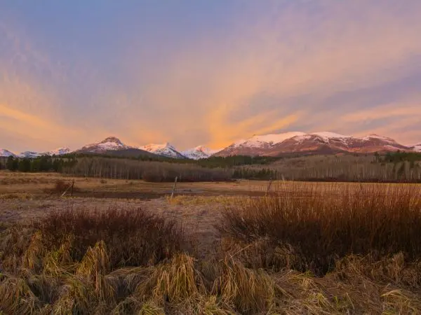 Condon, Montana