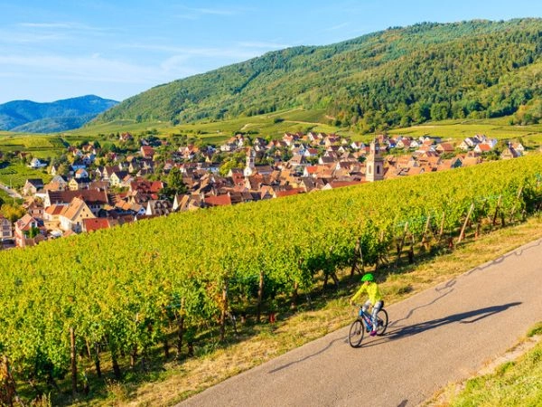 Esplorare Riquewihr in bicicletta tra i vigneti, i boschi e i campi