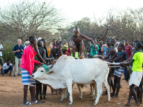 Bull Jumping degli Hamer in Etiopia