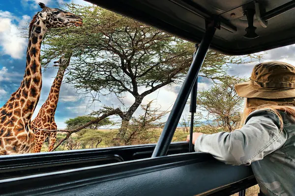 safari-africa-giraffe-avvistamento