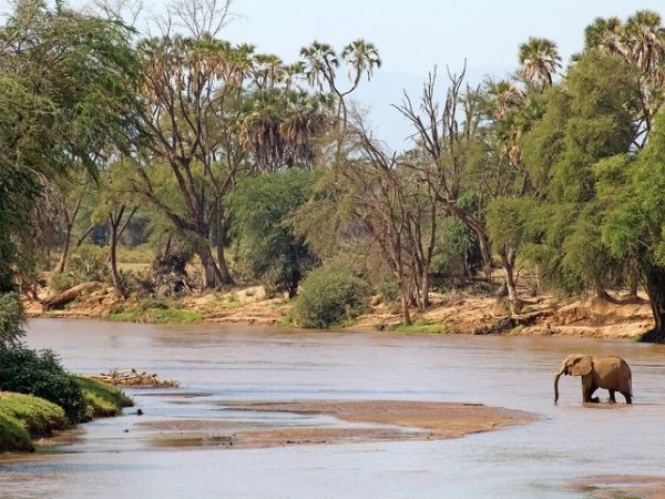 Emboo River Camp