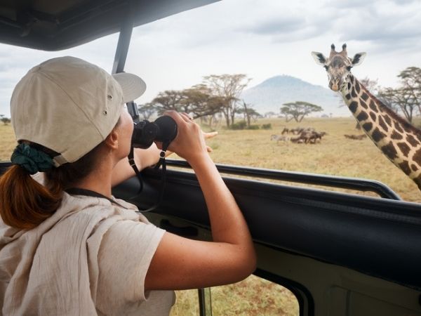 safari kenya