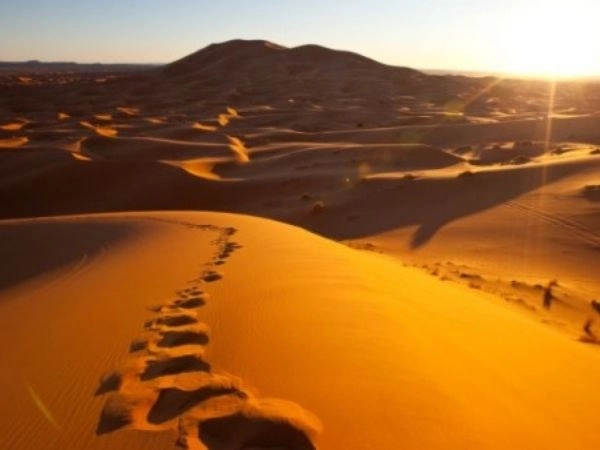 Da Tunisi al Sahara