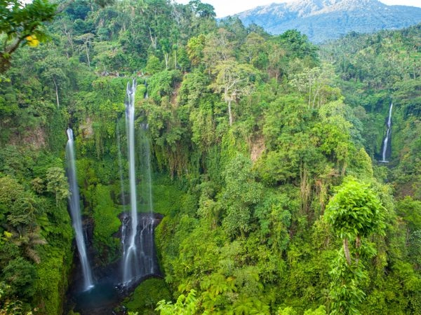 Sekumpul Waterfall