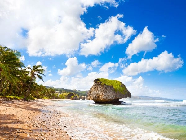 Il fascino naturale di Bathsheba