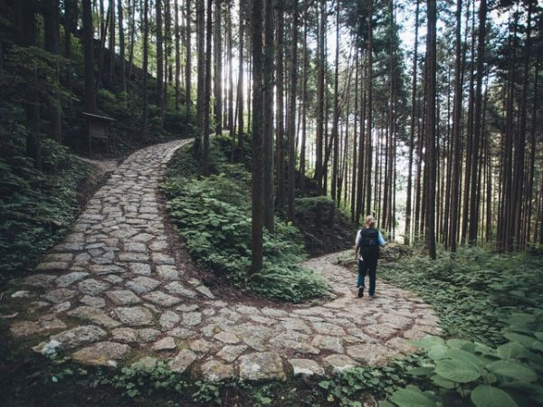 Gli amanti delle scoperte e delle passeggiate potrano percorrere la Nakasendo route nella valle di Kyso