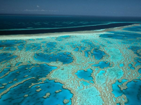 La Grande Barriera Corallina Australiana è davvero una meta imperdibile