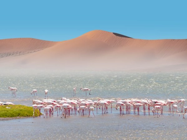 La Namibia conserva una grande varietà di paesaggi