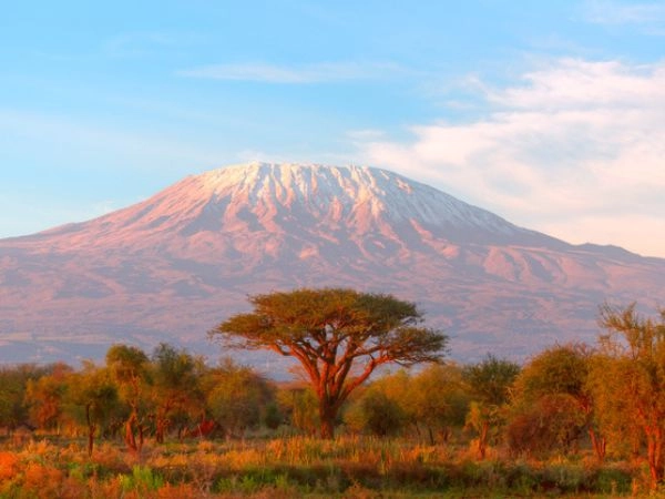 La Tanzania è il paradiso della natura e della fauna sevaggia africana