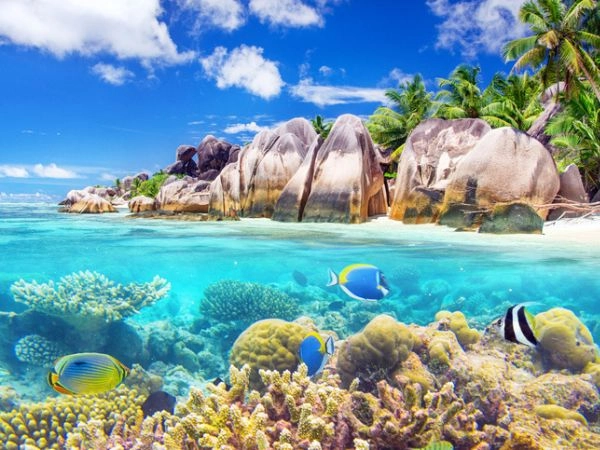 Le Seychelles sono più difficili da raggiungere delle Maldive ma altrettanto meravigliose