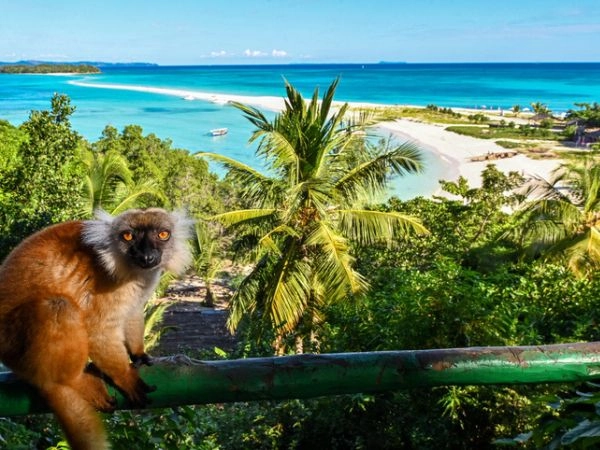 Pochi sanno che il Madagascar è la quarta isola più grande al mondo